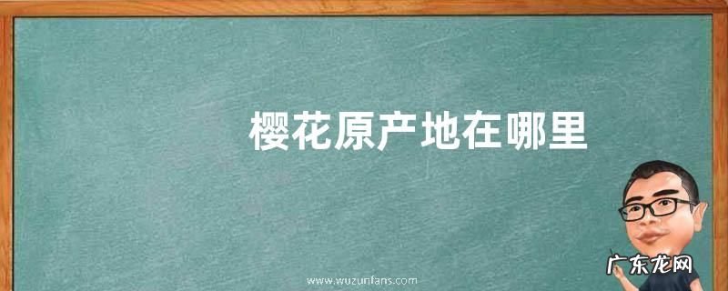 樱花原产地在哪里