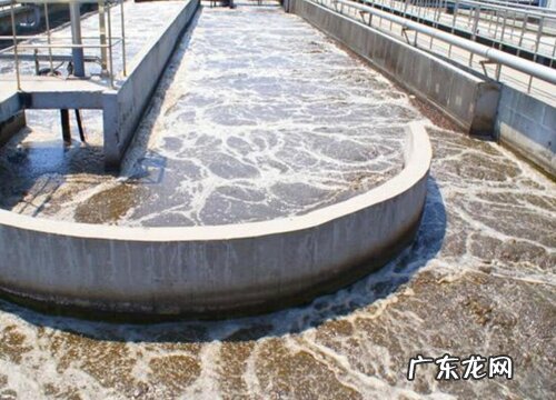 生活污水可以浇菜吗