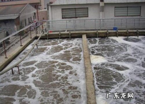 生活污水可以浇菜吗