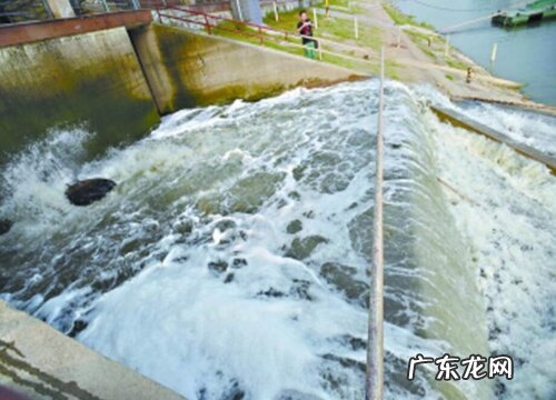 生活污水可以浇菜吗