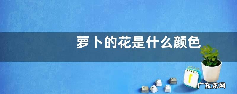 萝卜的花是什么颜色