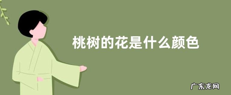 桃树的花是什么颜色