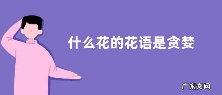 什么花的花语是贪婪
