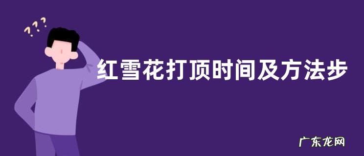 红雪花打顶时间及方法步骤