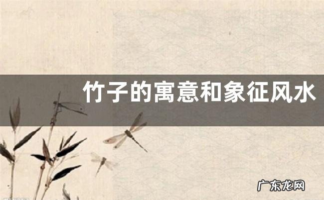 竹子的寓意和象征风水