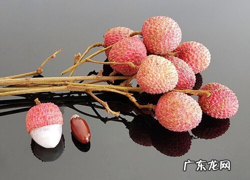 荔枝哪里产的最好吃