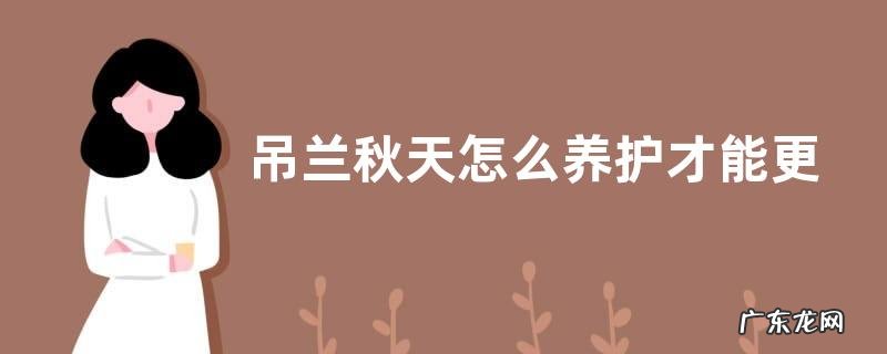 吊兰秋天怎么养护才能更旺盛