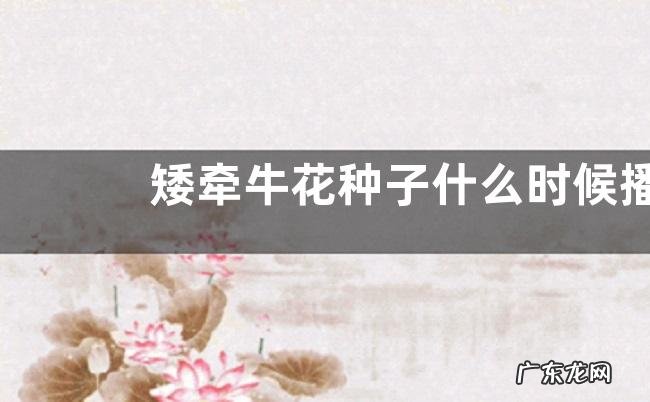 矮牵牛花种子什么时候播种最好