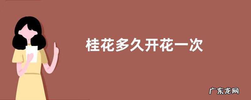 桂花多久开花一次