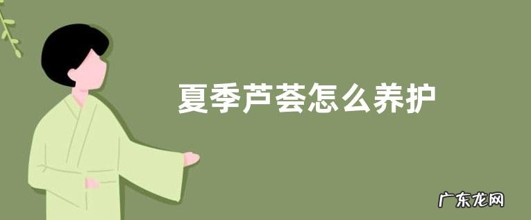 夏季芦荟怎么养护