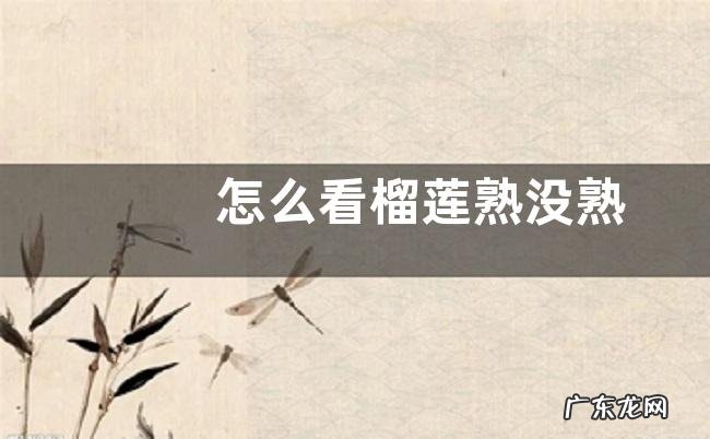 怎么看榴莲熟没熟