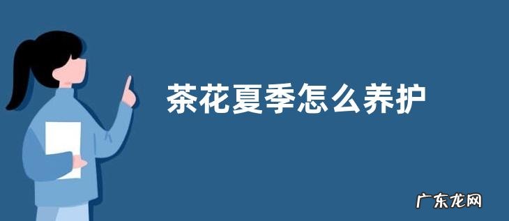 茶花夏季怎么养护