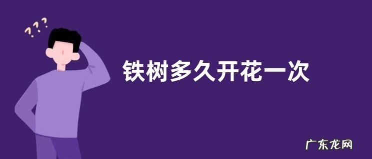 铁树多久开花一次