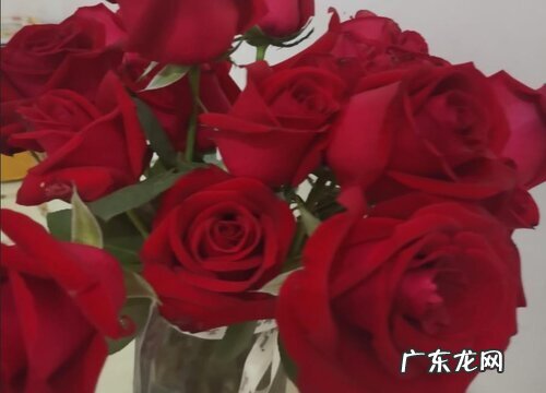 39朵玫瑰代表什么花语