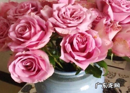 39朵玫瑰代表什么花语