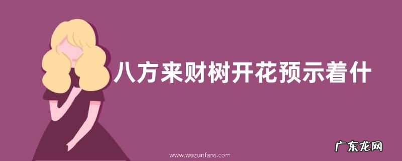 八方来财树开花预示着什么意思