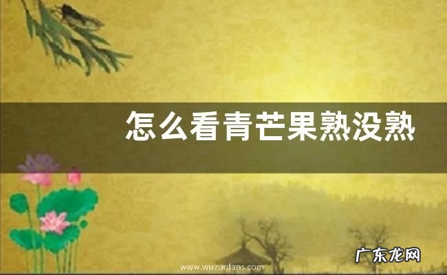 怎么看青芒果熟没熟