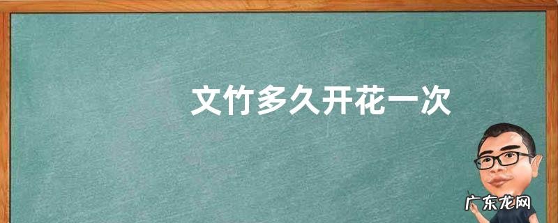 文竹多久开花一次