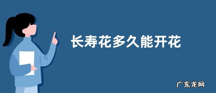 长寿花多久能开花