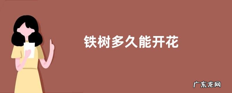 铁树多久能开花