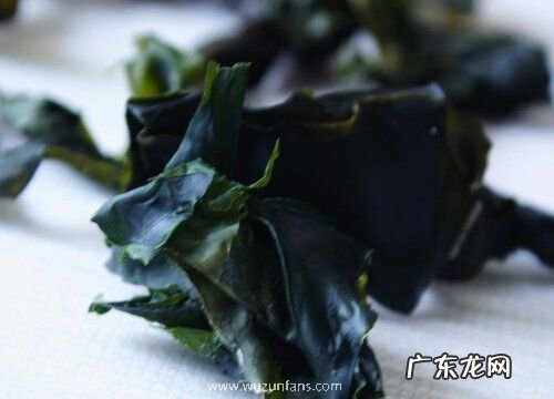 海里的植物有哪些