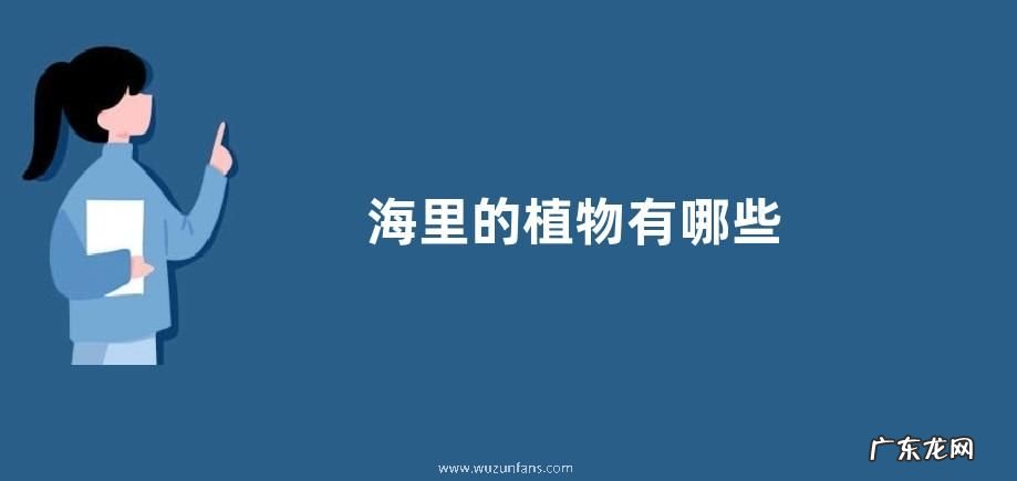 海里的植物有哪些