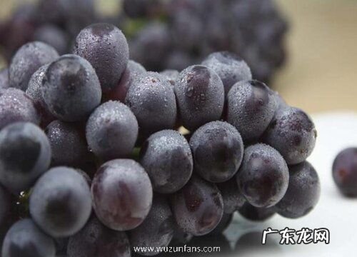 葡萄有籽吗