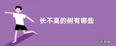 长不高的树有哪些