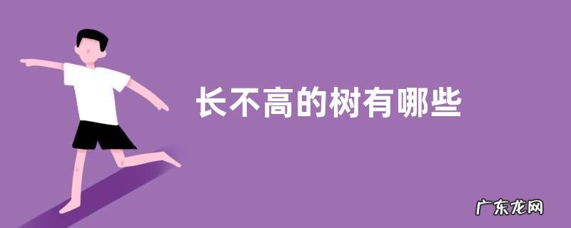 长不高的树有哪些