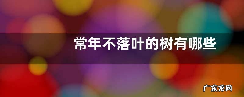 常年不落叶的树有哪些