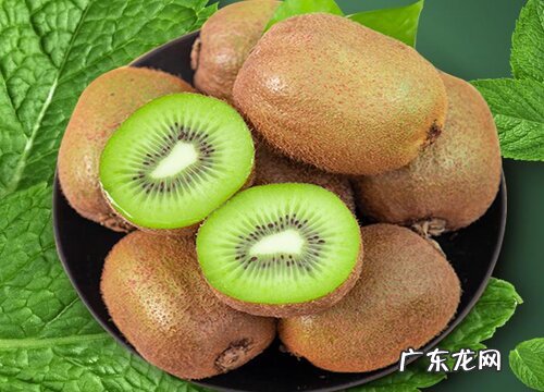 奇异果是几月份的水果