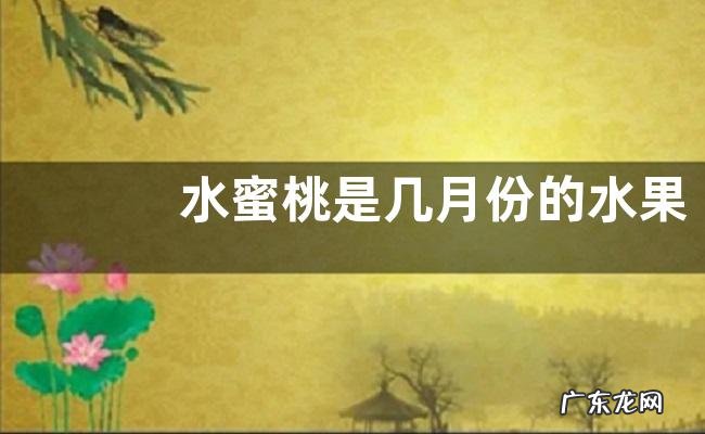 水蜜桃是几月份的水果