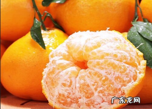 耙耙柑是几月份的水果