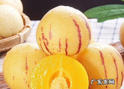 人参果哪里产的最好吃