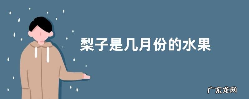 梨子是几月份的水果