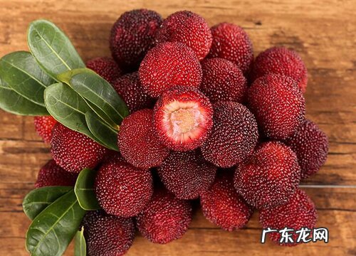 杨梅是几月份的水果