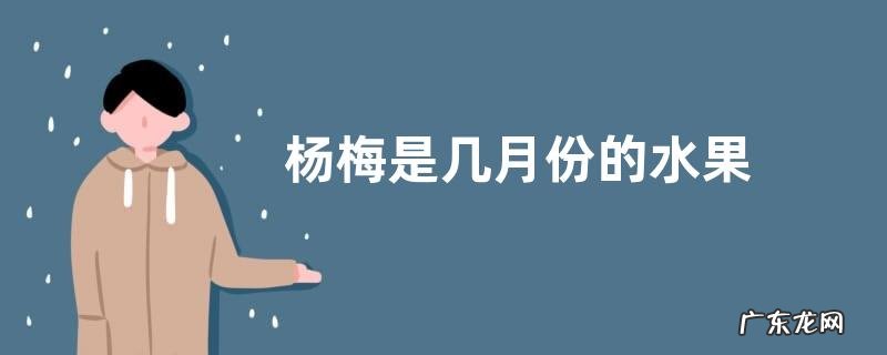 杨梅是几月份的水果