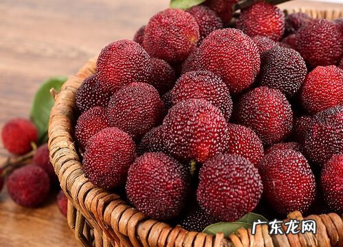 杨梅是几月份的水果