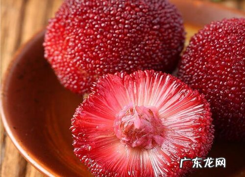 杨梅是几月份的水果