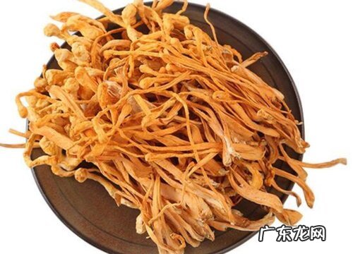 虫草花是哪里的特产