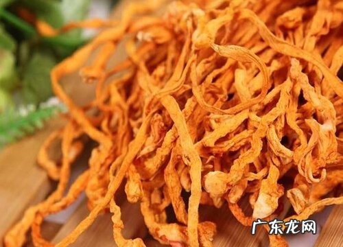 虫草花是哪里的特产