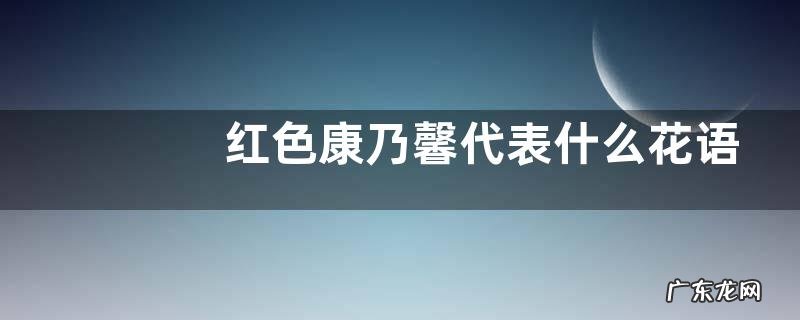 红色康乃馨代表什么花语