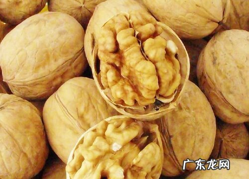 核桃是哪里的特产