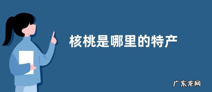 核桃是哪里的特产