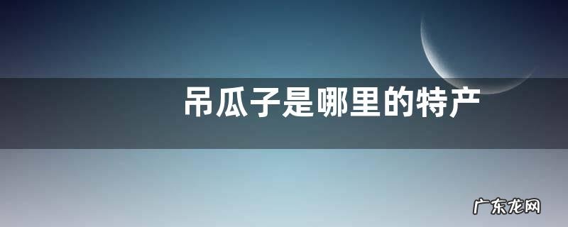 吊瓜子是哪里的特产
