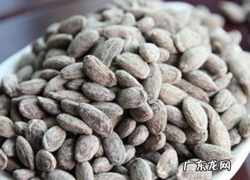 吊瓜子是哪里的特产