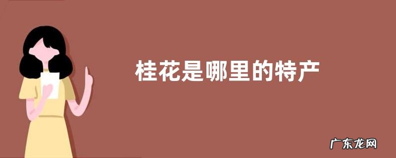 桂花是哪里的特产