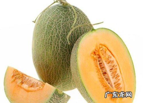 哈密瓜哪里产的最好吃