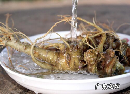 三七是哪里的特产