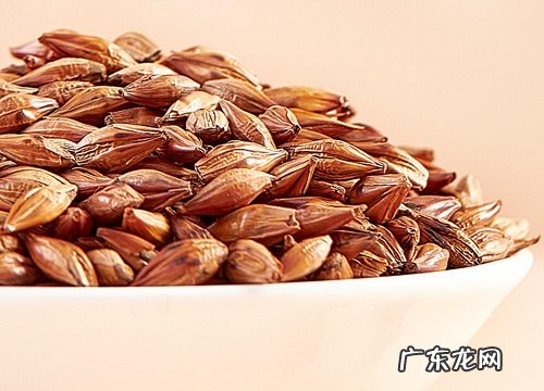 苦荞是哪里的特产